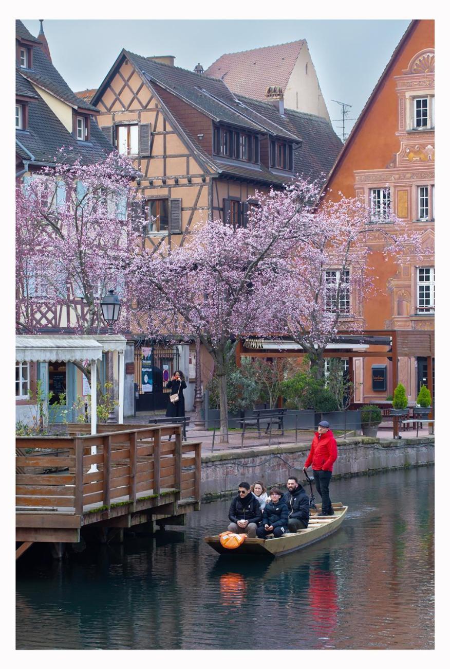 Maison Avec Terrasse Colmar Centre-Cottage Garden Terrace Center Old Town 콜마 외부 사진