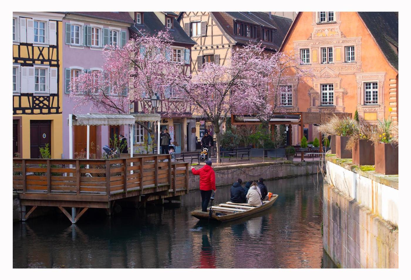 Maison Avec Terrasse Colmar Centre-Cottage Garden Terrace Center Old Town 콜마 외부 사진