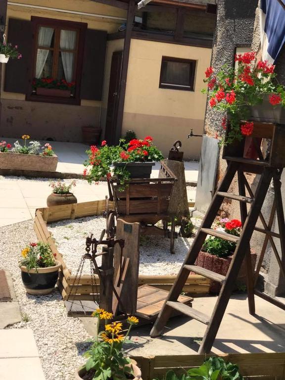 Maison Avec Terrasse Colmar Centre-Cottage Garden Terrace Center Old Town 콜마 외부 사진