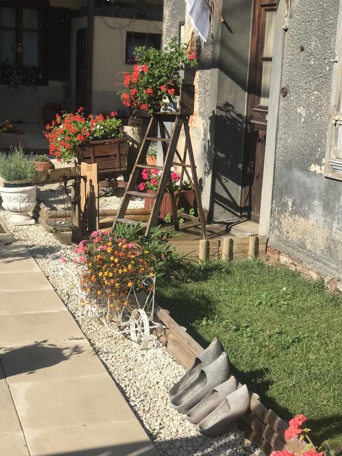 Maison Avec Terrasse Colmar Centre-Cottage Garden Terrace Center Old Town 콜마 외부 사진